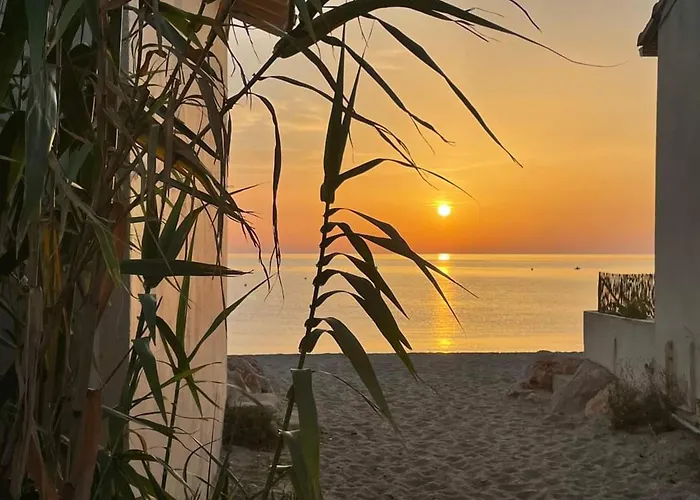 Apartamento Climatisé 2 Pièces 4/5 Pers Avec Piscine - Fr-1-776-2 Argelès-sur-Mer