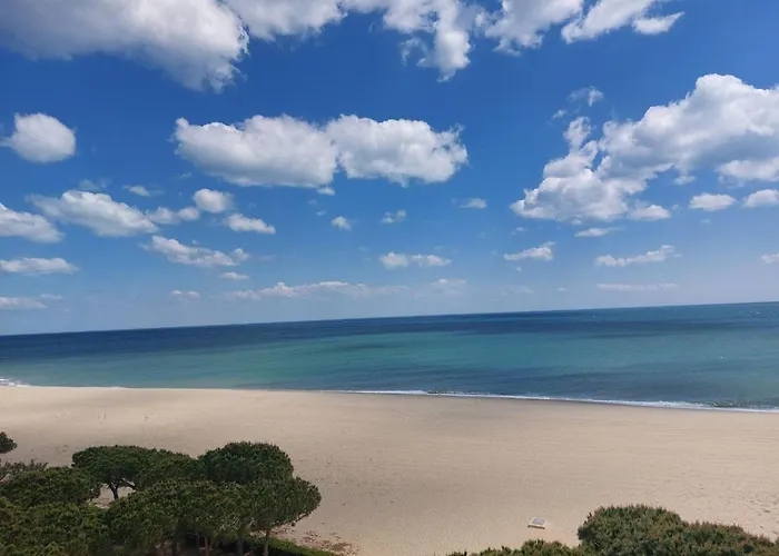 Climatisé 2 Pièces 4/5 Pers Avec Piscine - Fr-1-776-2 * Argelès-sur-Mer