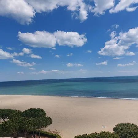 Climatise 2 Pieces 4/5 Pers Avec Piscine - Fr-1-776-2 * Argelès-sur-Mer