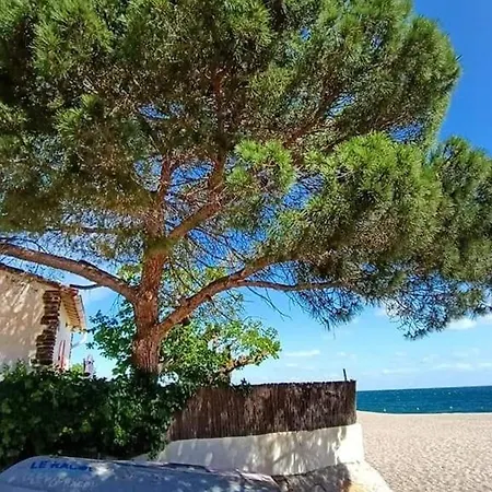 Apartment Climatise 2 Pieces, Piscine, Parking Prive, A 500m De La - Fr-1-776-2 *